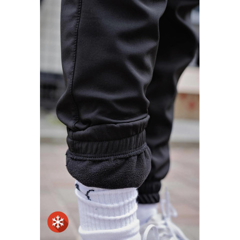 Утеплені Штани Карго Without Reflective Softshell Black Man