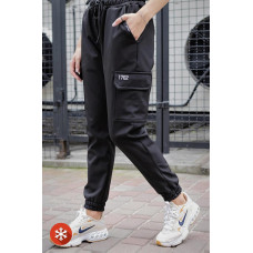 Утеплені Штани Карго Without Reflective Softshell Black Woman