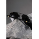 Сонцезахисні Окуляри Without Aviator Black