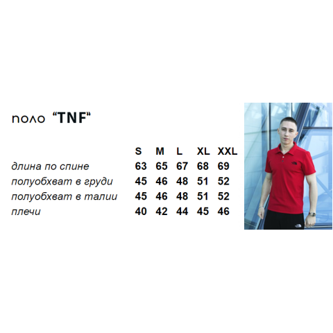 Поло чоловіче TNF синє
