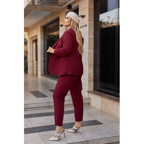 Костюм трійка, арт. 455 бордо