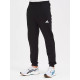 Штаны Adidas #0004