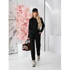Жіночий спортивний весняний костюм, арт. А-420, колір чорний
