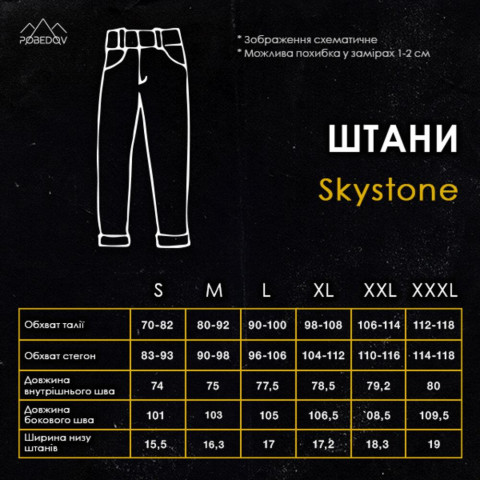 Штани-карго Pobedov Skystone Чорний