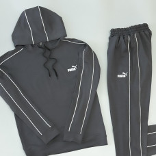 Спортивний костюм Puma сірий