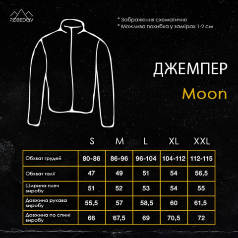 Джемпер Pobedov Moon Темно-сірий