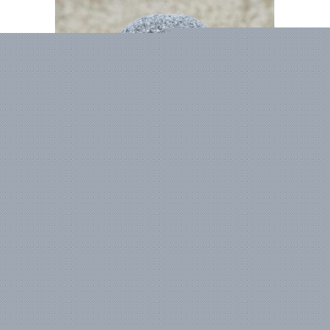 Чоловіча Хутряна Кепка Докер Теді Without Dax Gray