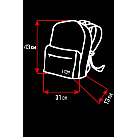 Чоловічий Принтований Рюкзак Without моделі Rick and Morty Чорний